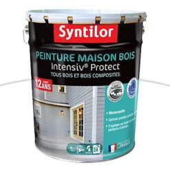 Castorama Peinture Maison Bois Intensiv Protect Syntilor Blanc 8L