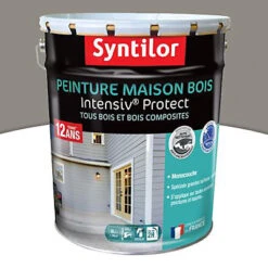 Castorama Peinture Maison Bois Intensiv Protect Syntilor Gris Cendré 8L