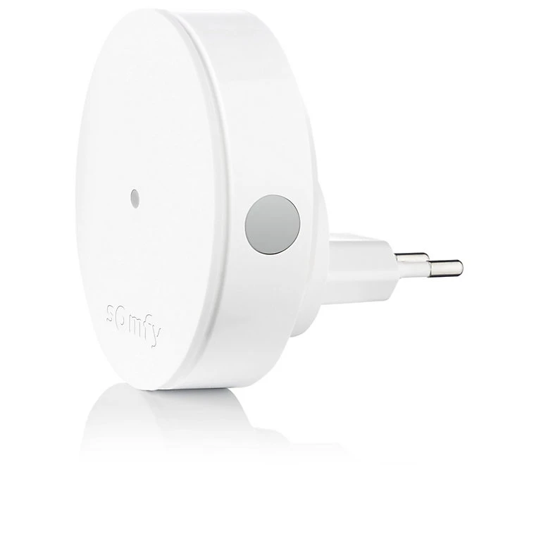 Castorama Relais Radio Somfy Protect 2401495 1 Castorama Relais Radio Somfy Protect 2401495